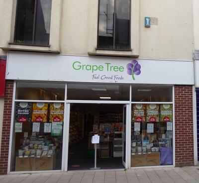24 Grape Tree