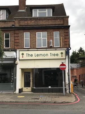 107 Lemon Tree